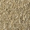 MIyuki delica Duracoated Galvanized matted Silver seed beads DB1831F