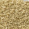 Miyuki delica Duracoat Galvanized Pale gold seed beads DB 2501